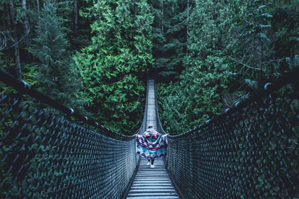 Lynn Canyon Suspension Bridge